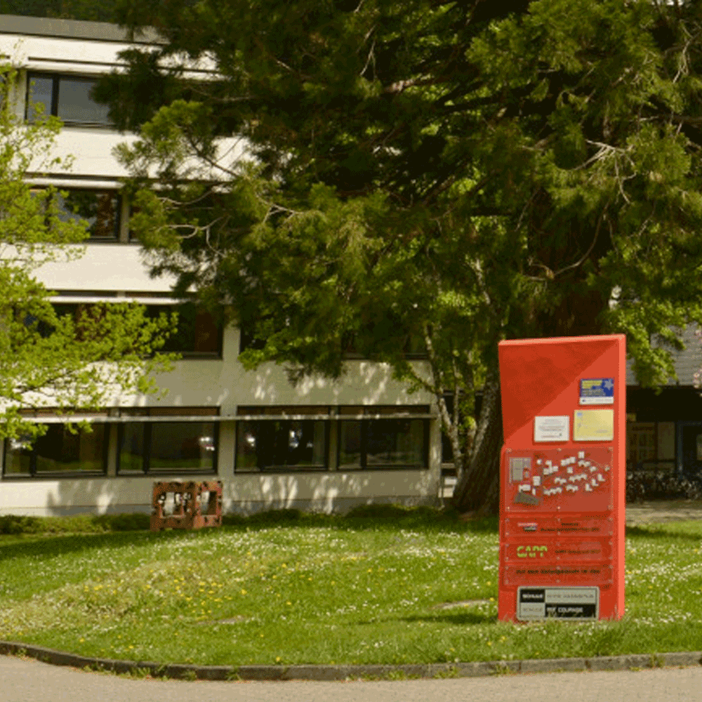 Foto_Schule